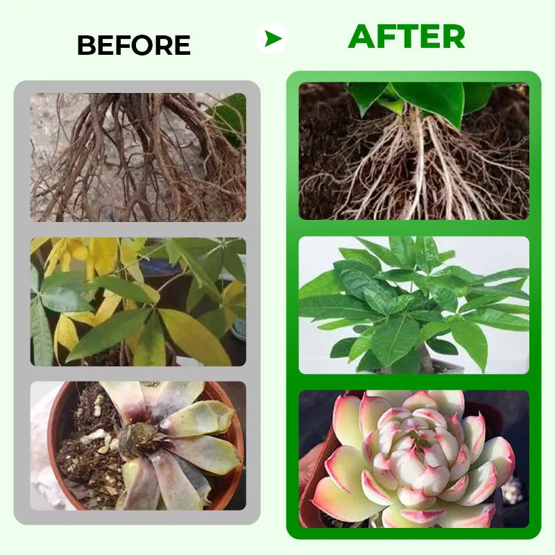 Pro Grade All-Purpose Liquid Fertilizer Concentrate